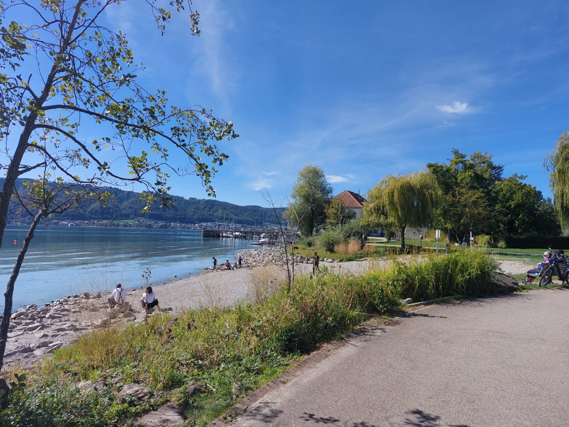Der Kiesstrand im Uferpark Ludwigshafen bei Sonnenschein, mit Blick über den Bodensee zum Hafen und auf die bewaldeten Hänge des Gegenufers.